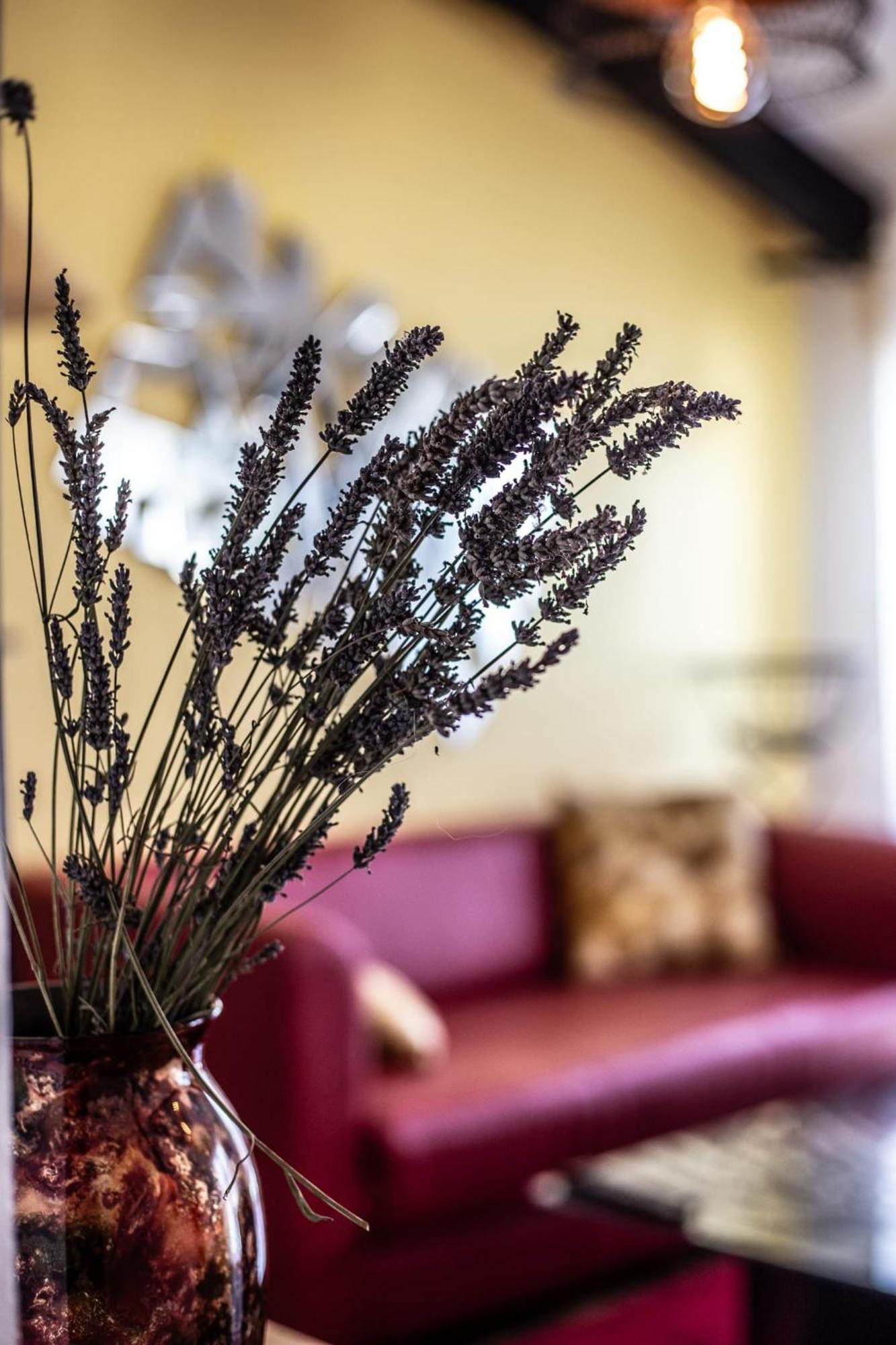 Le Dupe Aparthotel Brissac-Quince Ngoại thất bức ảnh